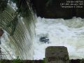 2005-0124wier